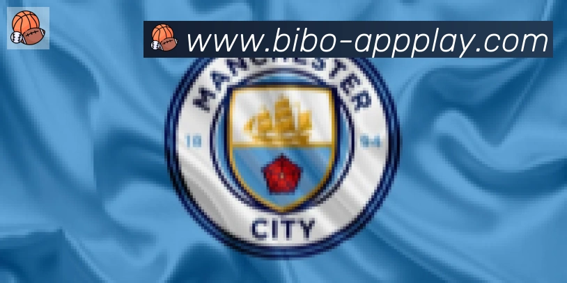 必博bibo官网体育合作伙伴