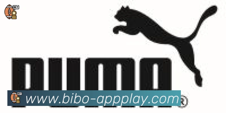 必博bibo官网体育合作伙伴
